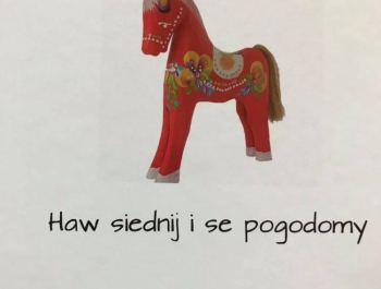 GBP: publikacja powstała w programie „Haw siednij i se pogodomy”. - zdjęcie1