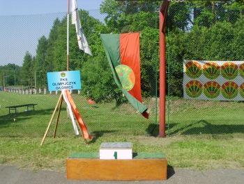 Lekkoatletyczna paraolimpiada - zdjęcie15