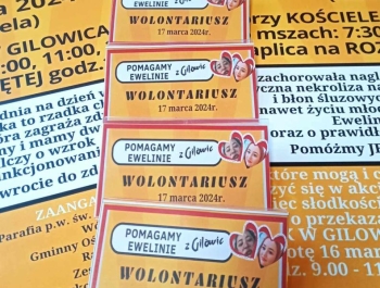 Pomagamy Ewelinie z Gilowic - zdjęcie2
