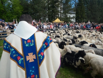 SEZON PASTERSKI W WOJEWÓDZTWIE ŚLĄSKIM OTWARTY ... - zdjęcie36