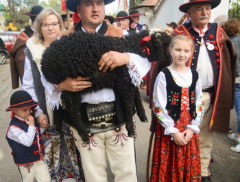 SEZON PASTERSKI W WOJEWÓDZTWIE ŚLĄSKIM OTWARTY ... - zdjęcie17