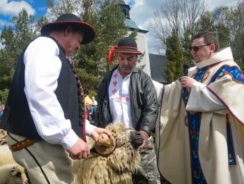 SEZON PASTERSKI W WOJEWÓDZTWIE ŚLĄSKIM OTWARTY ... - zdjęcie24
