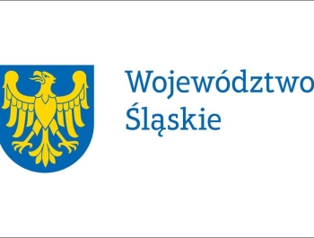 INICJATYWA SOŁECKA 2024 - zdjęcie1